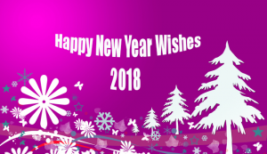 happy new year 2018!